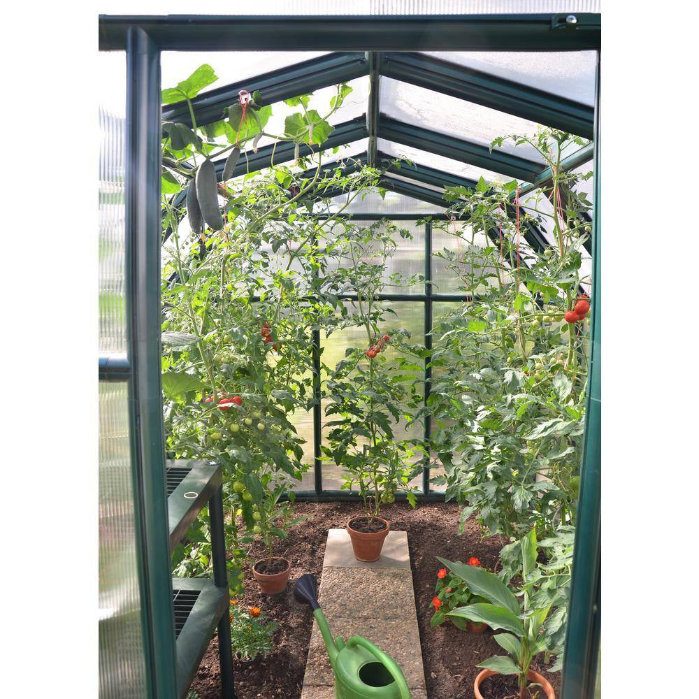 Eco-Grow 6 Ft. X 6 Ft. Green/Diffused Polycarbonate DIY Greenhouse Kit